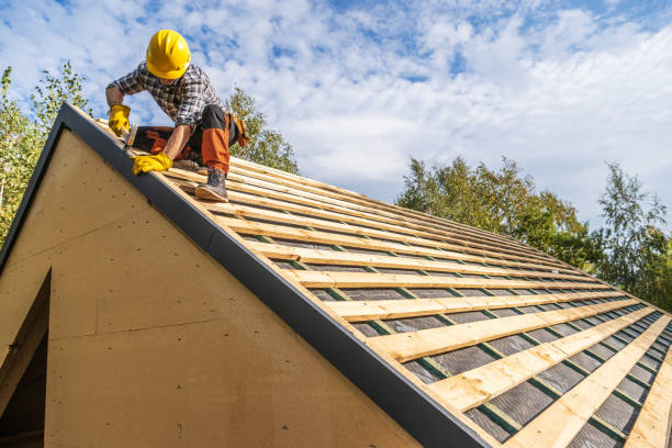 Professional Roofing Contractor in Oldsmar, FL