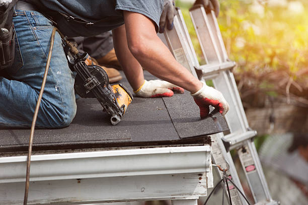 Quick and Trustworthy Emergency Roof Repair Services in Oldsmar, FL